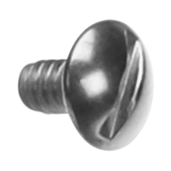 A close up of a Bunn stainless steel screw with a metal head.