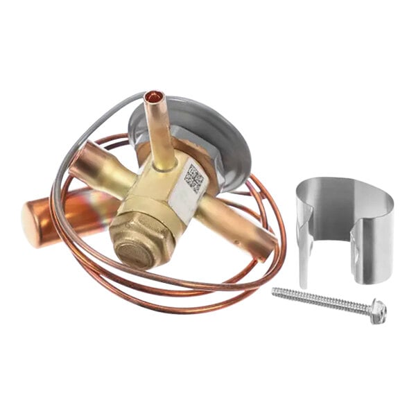 A copper and brass Lennox valve-exp with a metal screw.