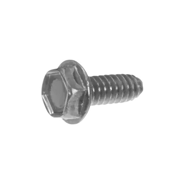 A close-up of a Hobart Type Tt screw with a hex head.