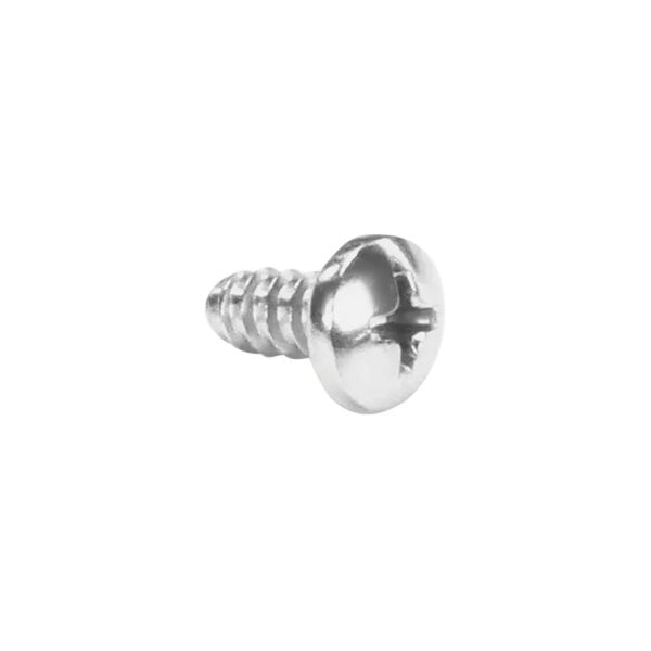 A close-up of a Hobart Type B screw with a silver finish.