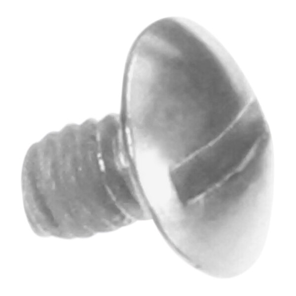 A close-up of a Bunn metal screw with a slotted head.