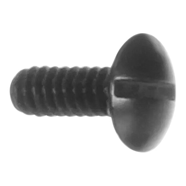 A close-up of a black screw with a white background.