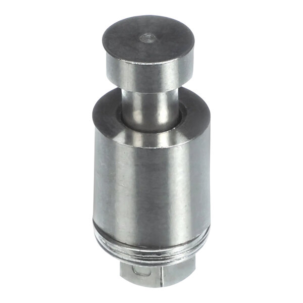 A metal cylinder with a round metal cap.