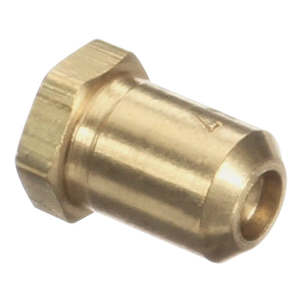 A close-up of a brass threaded nut.
