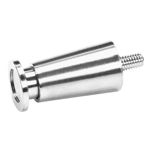 A stainless steel screw on a metal object.