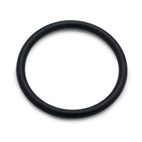 A black round T&S Nitrile O-Ring.