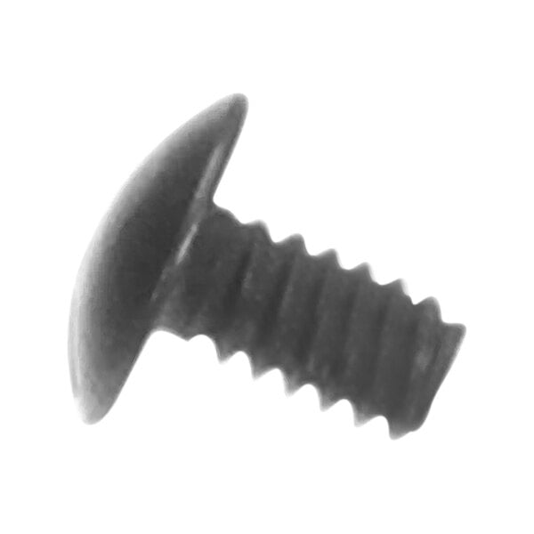 A close-up of a Bunn Trh Sltd Blk screw with a black head.