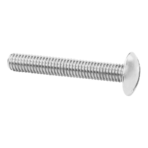 A close-up of a Bunn Trh-Sltd screw with a stainless steel head.