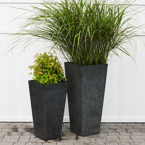 Two Novelty Manufacturing Co. black square planters with tall green plants in them.