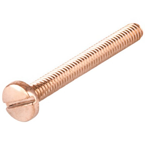 A copper T&S escutcheon screw.