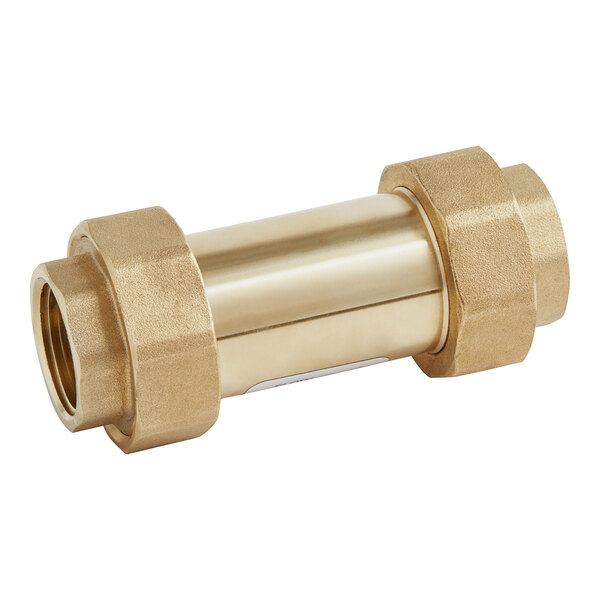 A close-up of a brass Watts dual check valve with FNPT union fittings.