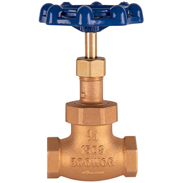 A T&S brass globe valve with a blue handle.