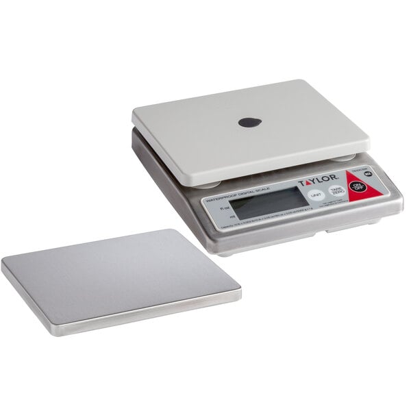 A Taylor digital portion scale with a small tray on top.
