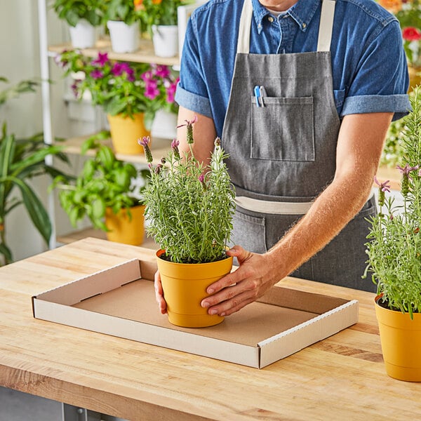 A man in an apron holding a white box of potted plants in Choice white corrugated greenhouse trays.