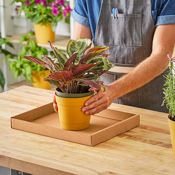 A person holding a potted plant in a Choice Kraft corrugated half greenhouse tray.