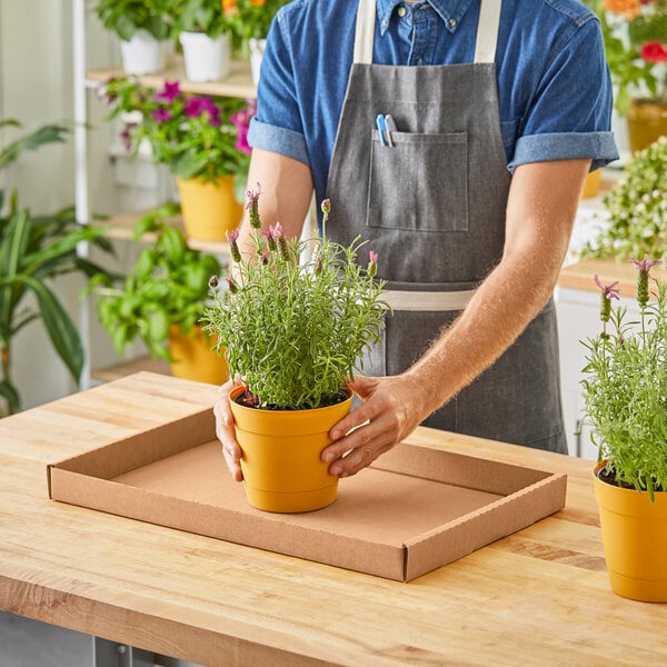 A man in an apron holding a Choice Kraft corrugated greenhouse tray with potted plants.