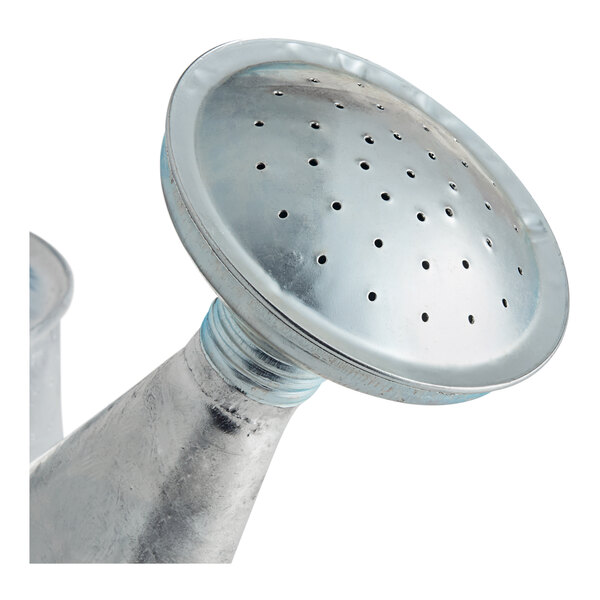 A Behrens steel watering can with shower head spout and holes.