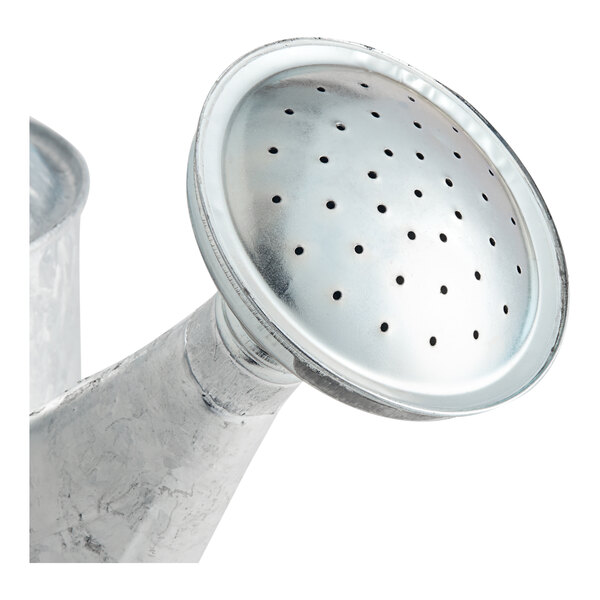 A close-up of a Behrens metal watering can with holes in it.