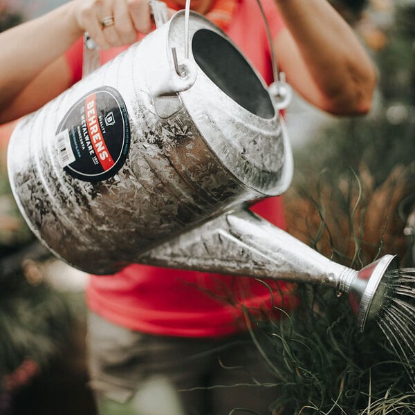 A person using a Behrens hot-dipped steel watering can to water a plant.
