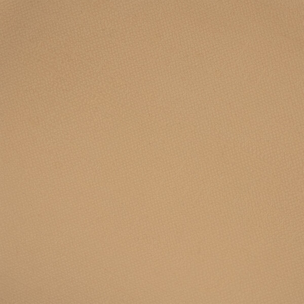 A close-up of a tan surface on an Elite Global Solutions rectangular platter.