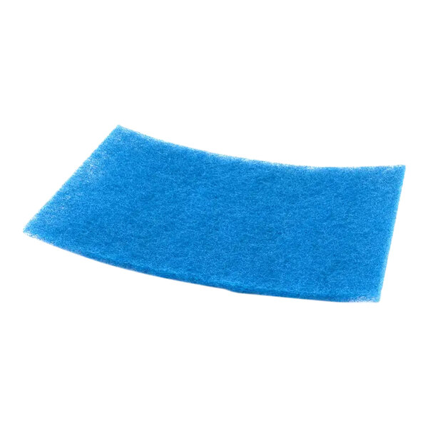 A Taylor air filter with blue sponge.