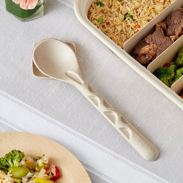 A tray of food with a World Centric compostable fiber serving spoon on it.
