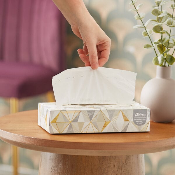 A hand holding a Kleenex Professional facial tissue box.