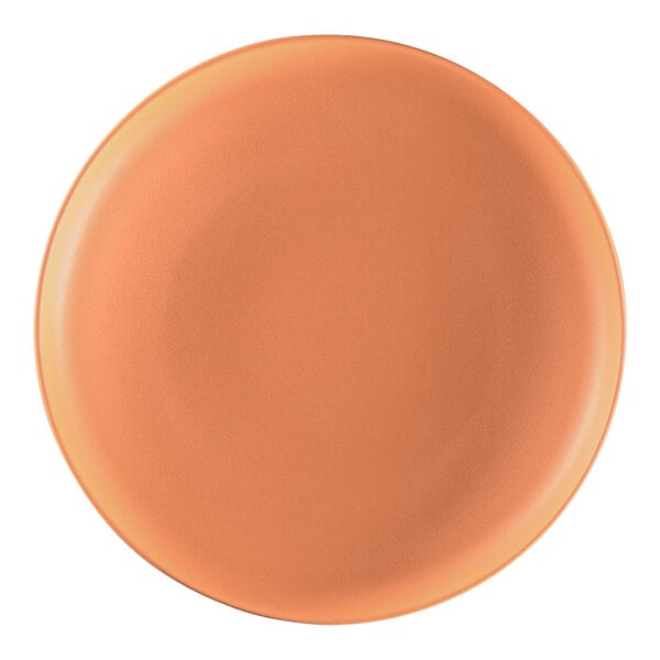 A close-up of a RAK Porcelain deep plate with a terra cotta rim.