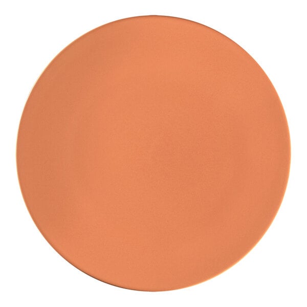 A close-up of a RAK Terra Cotta porcelain plate with an orange surface.