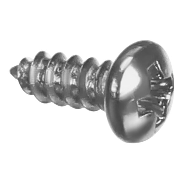 A close-up of a silver metal screw with a logo on the head.