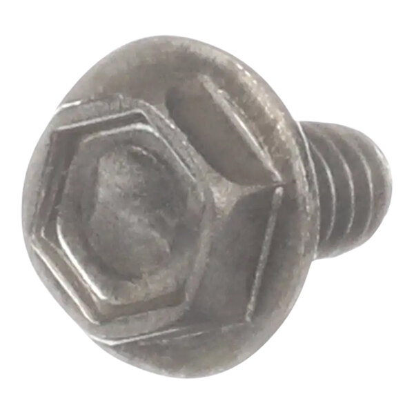 A close up of a Garland / US Range hex slot washer screw.