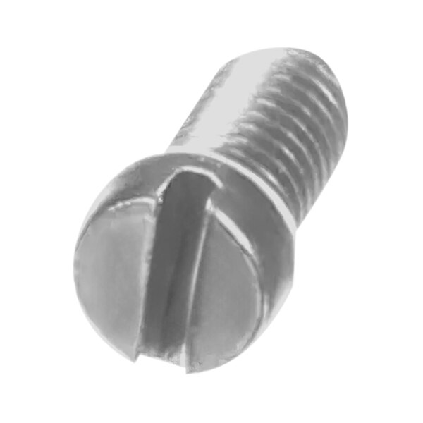 A close-up of a screw with a metal head.