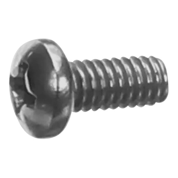 A close-up of a Food Warming Equipment Pan Head Phillips screw.