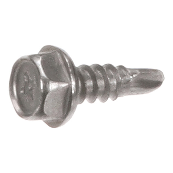 A close-up of a hex head screw with a metal finish.