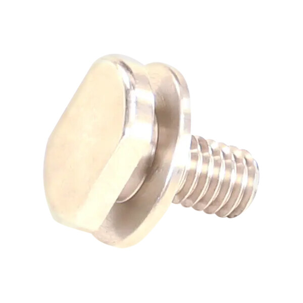 A close-up of a stainless steel screw with a hexagon-shaped nut.