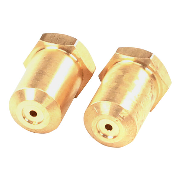A close-up of a pair of brass threaded nuts.