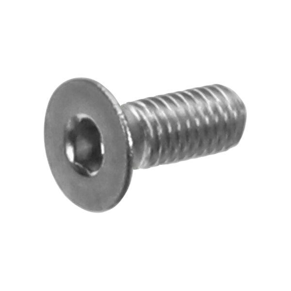 A close-up of a Garland / US Range stainless steel flat socket screw.