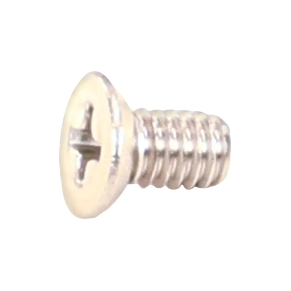 A close-up of a stainless steel screw with a metal head.