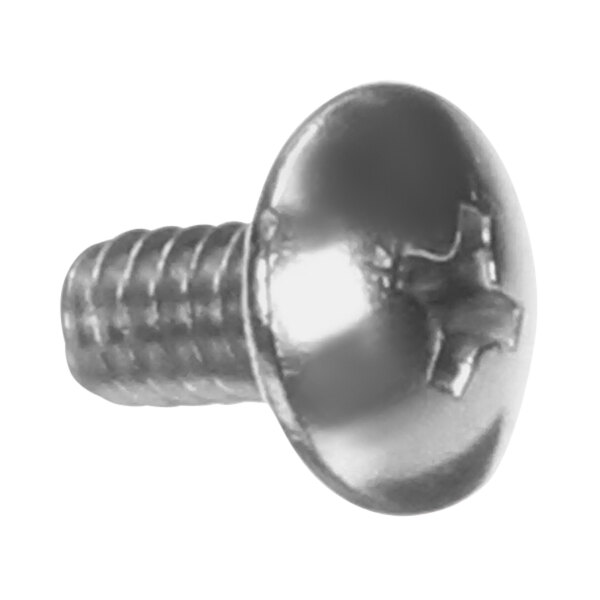 A close-up of a Garland / US Range screw with a metal head.