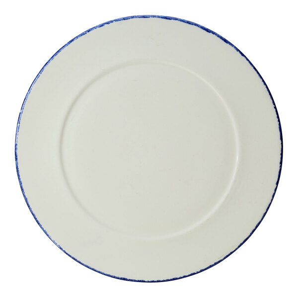 A white Steelite Performance plate with a blue circular design on the rim.