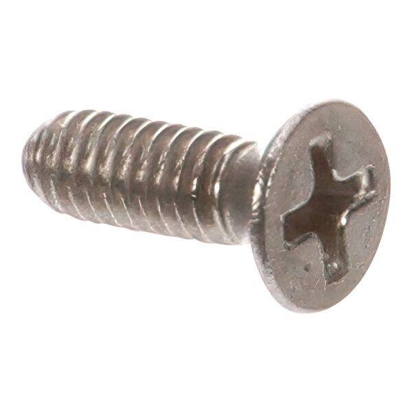 A close-up of a Wells screw with a cross.
