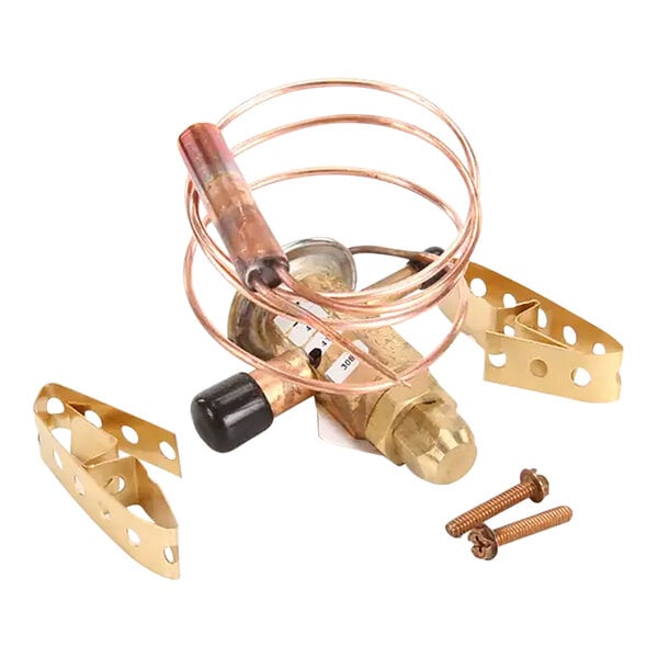 A copper and brass Scotsman Thermo Expansion Valve Kit with screws.