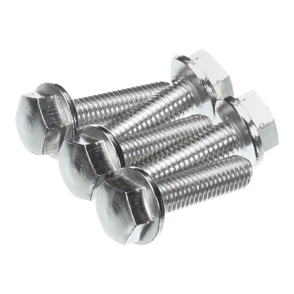A group of stainless steel Rational ornamental screws with nuts.