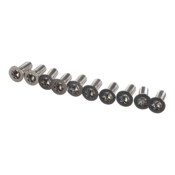 A row of Rational Torx flat head screws.