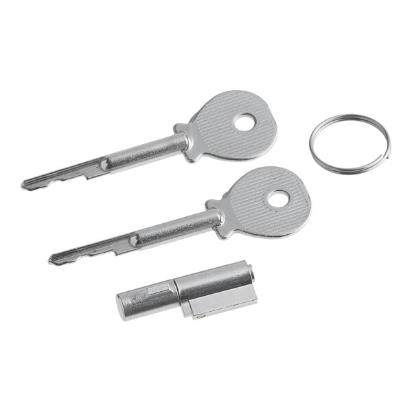 A couple of keys with a key ring for Galaxy lock and key set.