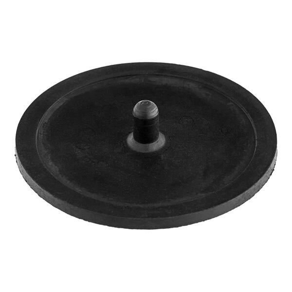 A black rubber disc with a round center.