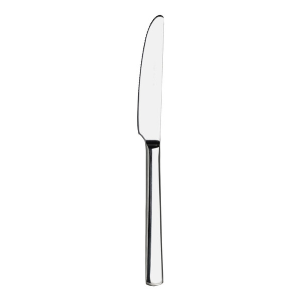 A WNK Chatsworth stainless steel dessert knife with a silver handle.