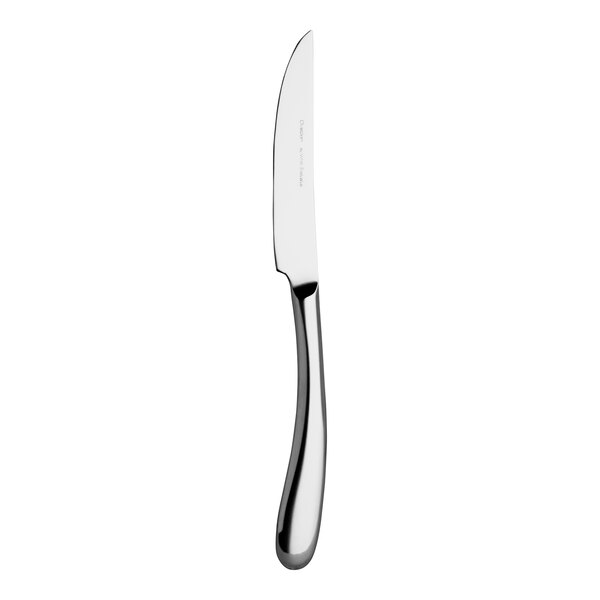 A WNK Ovation stainless steel steak knife with a silver handle.