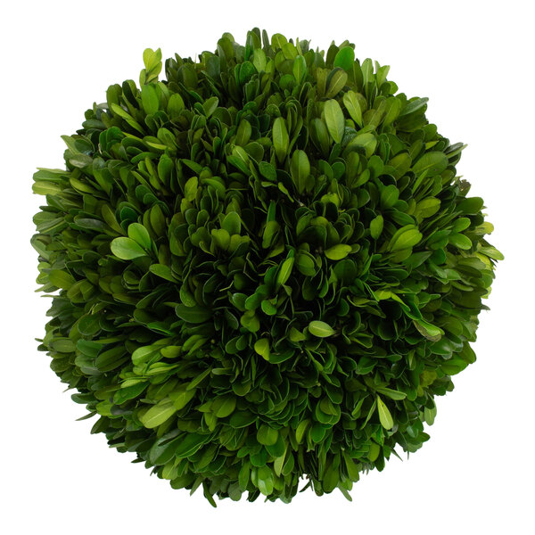 A green ball made of preserved boxwood.