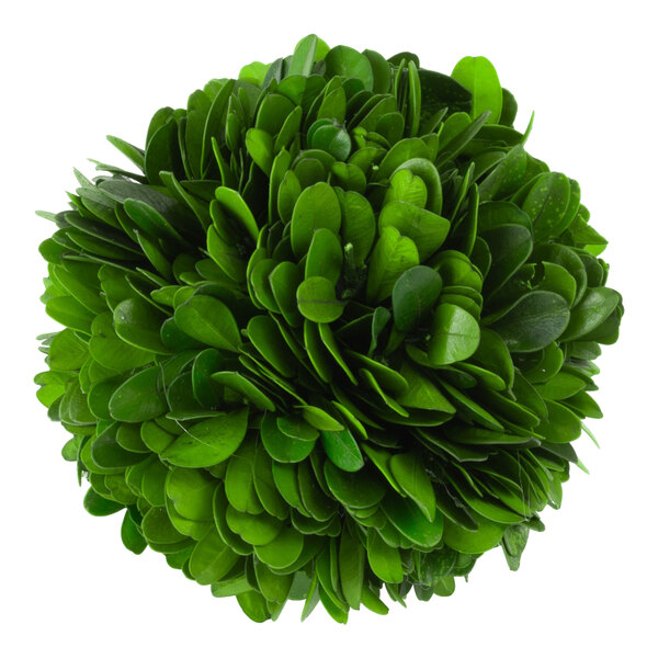 A Mills Floral Company preserved boxwood ball with green leaves.